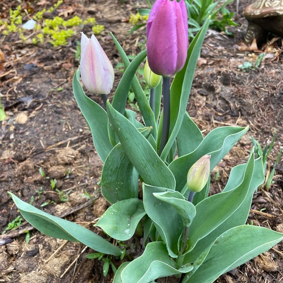 Meet your Posher, Kathy - Picture 6 of 11